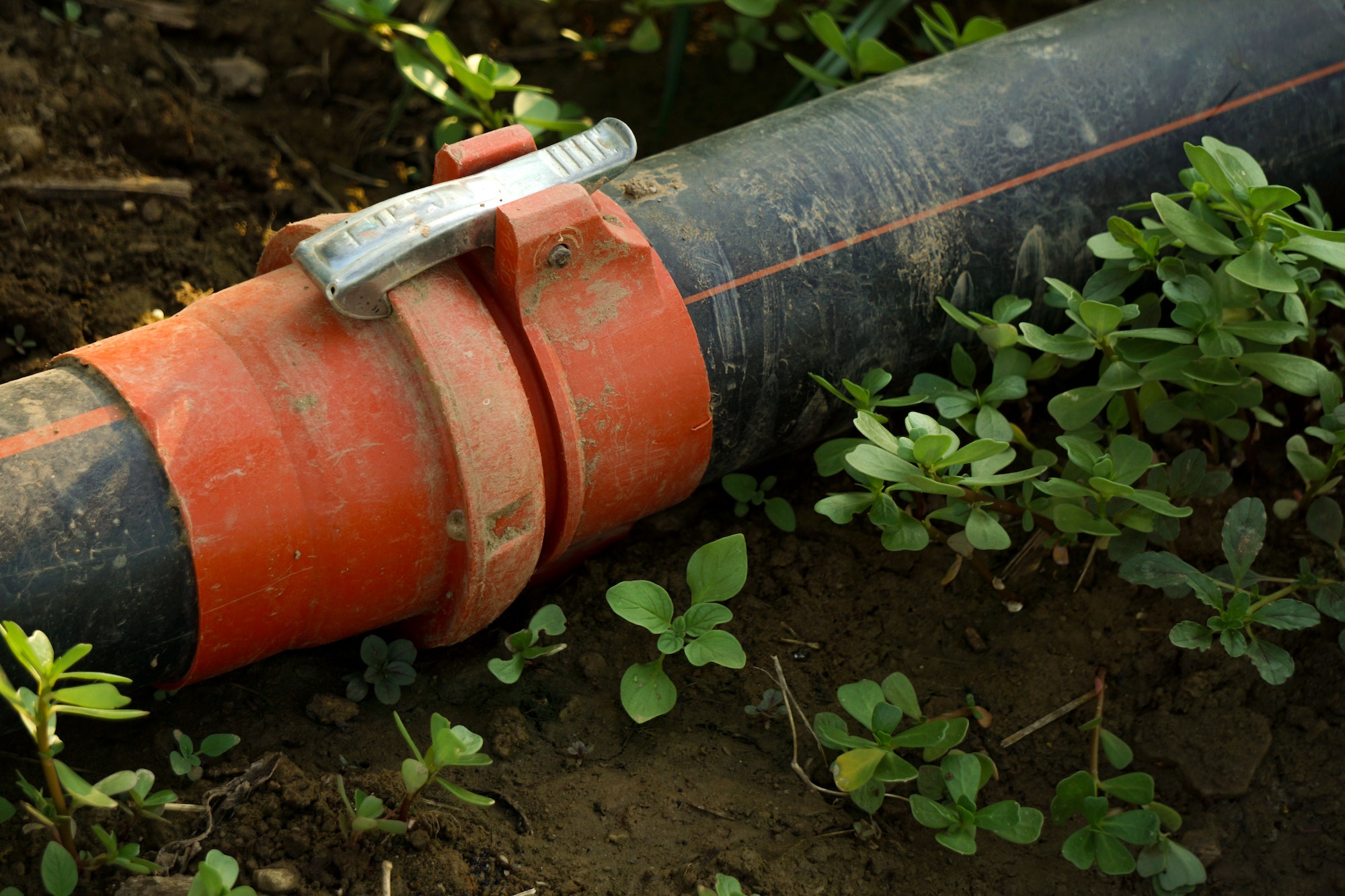 Closeup of a Garden irrigation hose connections