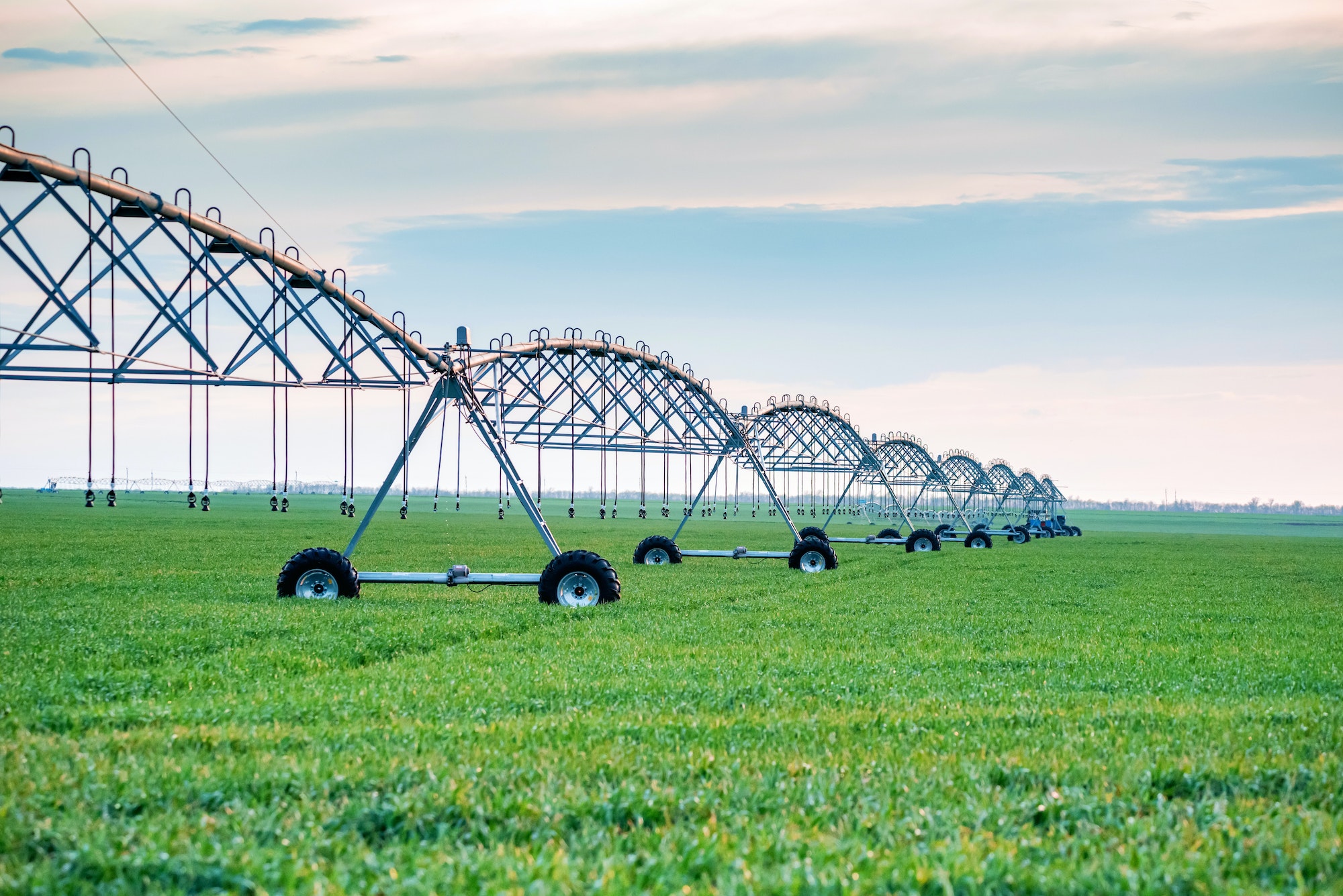 Drip irrigation system in field